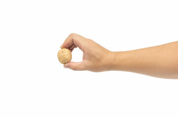 A male hand holding a walnut isolated on white background