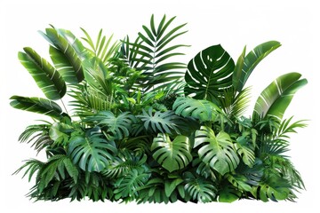Vibrant tropical foliage variety (monstera, palm, rubber plant, pine, and fern): isolated on white background