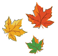 autumn leaves isolated on white background hand drawn vector illustration