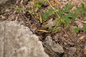 several large and small bullet casings on the grass
