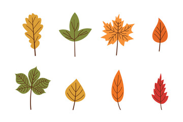 Set of autumn leaves. Vector illustration of colorful leaves from different trees, hand drawn