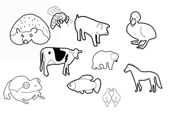 Fototapeta premium Farm Animal Hand drawn Pig Cow Bee Frog Fish Duck Bear Horse Bird Porcupine doodle organic line cute, 
