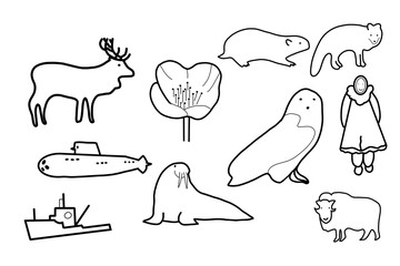 Arctic Hand drawn Natural Animal Ship doodle organic line cute 
