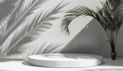 Obraz premium Minimalist White Platform With Palm Tree Shadow in Sunlight