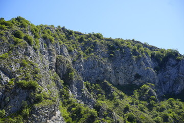 Nature reserve park Uvac river with beautiful mountains, green lush forest, clear sky with no clouds and blue water and bald eagles in south Serbia in the Balkans in Europe