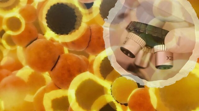 close up of microscope view
