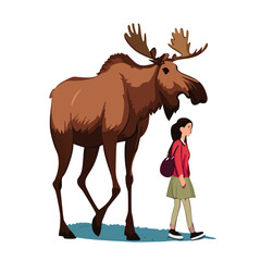 elk_002