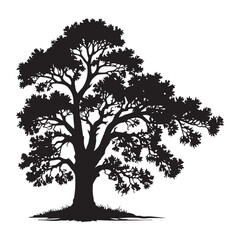 Obraz premium Oak tree set black silhouette vector Clip art