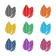 Fototapeta premium Almond icon isolated on white background. Set icons colorful