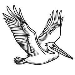 Obraz premium Flying pelican bird vector illustration