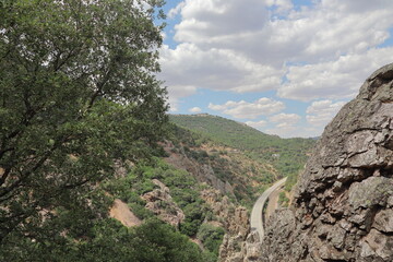 paisaje cielo azul bosque  verano