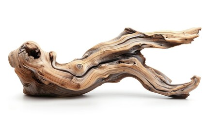 Fototapeta premium Isolated driftwood sculpture with smooth contours, perfect for decorative concepts