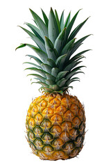 Fototapeta premium Pineapple Plant with Fruit, Leaves, and Stem on a White Background
