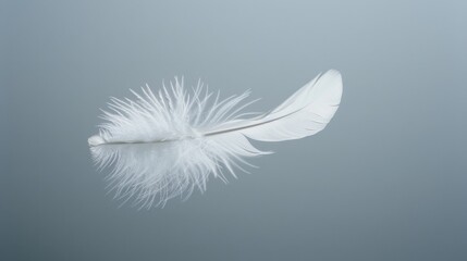A single feather floating in the air, showcasing the gentle movement and delicate form.