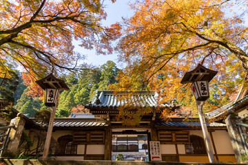秋の大雄山最乗寺　瑠璃門と紅葉（日本神奈川県南足柄市）
