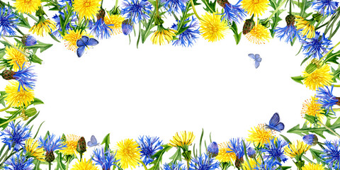 Aquarelle horizontal rectangular Greeting Card with Cornflowers, Dandelions and flying Butterflies