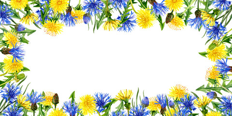 Obraz premium Aquarelle rectangular Greeting Card with wild flowers Cornflowers and Dandelions all around
