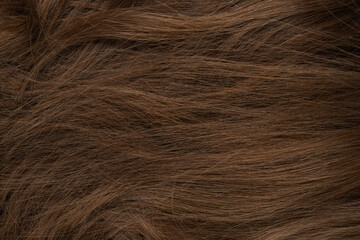 Long human brown hair background texture close up