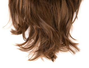 Long human brown hair isolated on background. hair texture close up