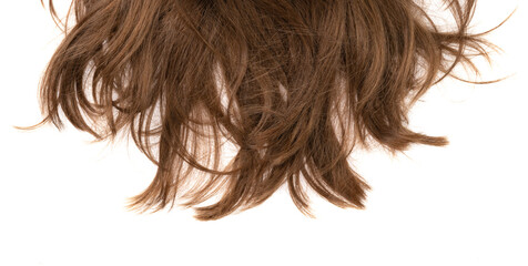 Long human brown hair isolated on background. hair texture close up
