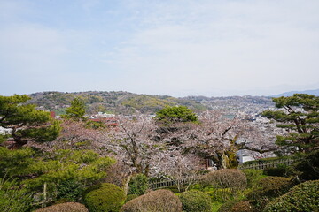 Traditional Japanese Garden, Kenrokuen Garden in Kanazawa, Ishikawa, Japan - 日本 石川 金沢 兼六園 日本庭園