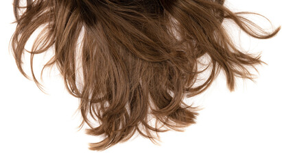 Long human brown hair isolated on background. hair texture close up