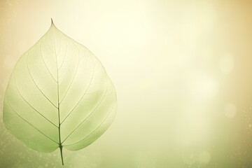 green leaf background made by journey