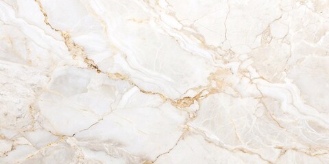 Elegant White Marble Texture. A high-resolution image of a pristine white marble with subtle veins, perfect for showcasing its luxurious texture and pattern.