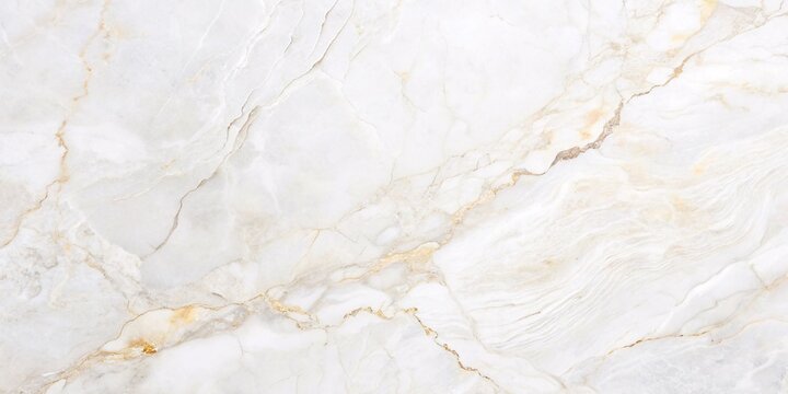 Elegant White Marble Texture. A high-resolution image of a pristine white marble with subtle veins, perfect for showcasing its luxurious texture and pattern.