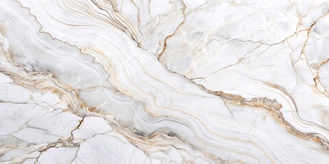 Elegant White Marble Texture. A high-resolution image of a pristine white marble with subtle veins, perfect for showcasing its luxurious texture and pattern.