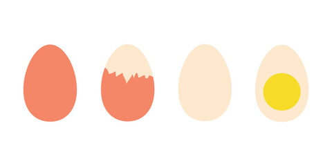 Vector boiled eggs on white background