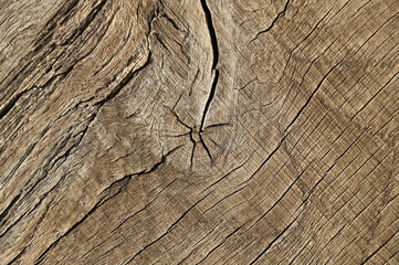 Old wooden background