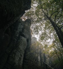 Basalt rock towers organs standing tall in a thick autumn fog at the Szent György hegy in Hungary