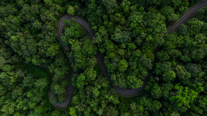Aerial view asphalt road on green forest, Curve asphalt road on mountain green forest, Countryside...