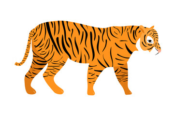 Vector illustration of tiger on transparent background