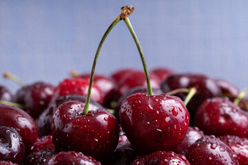 Fresh red cherries fruit. Fresh organic berries with leaves macro. Large collection of fresh red cherries. Ripe cherries background. Lot of red ripe cherries close up with water drops.