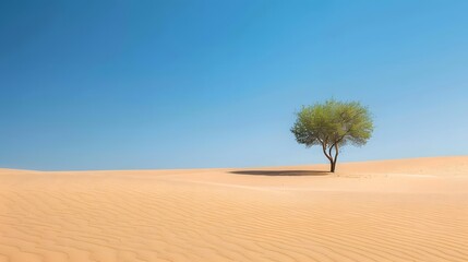 Fototapeta premium Capture the essence of solitude with our desert wallpaper picks., clean background, Photo stock style, clean background, no copyrighted logo, no letters
