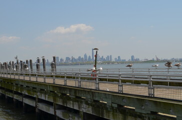 Panorama Manhattanu z Liberty Island © Ewa