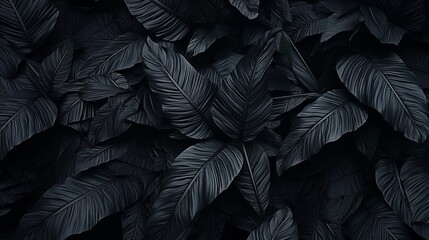 Fototapeta premium Closeup tropical black leaves texture and dark tone process, abstract nature pattern background.
