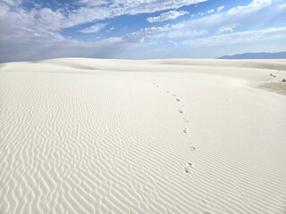 Footprints Pathway at White Sands National Park