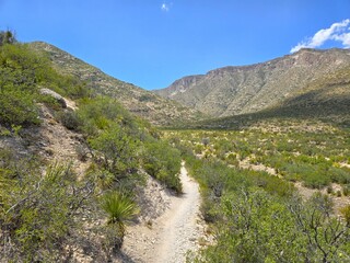 Scenic Views at Guadalupe Mountains National Park