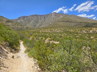 Scenic Views at Guadalupe Mountains National Park