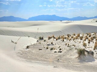 Wavy Sand Dunes at White Sands National Park