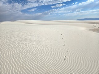 Footprints Pathway at White Sands National Park