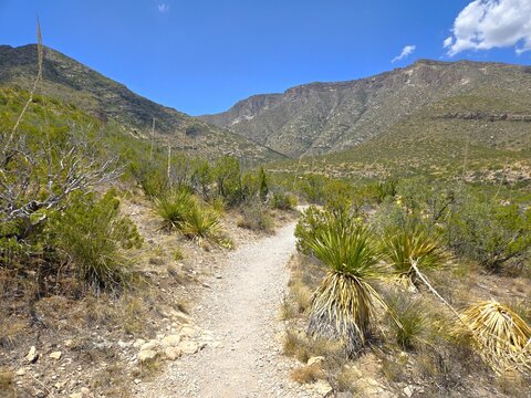 Scenic Views at Guadalupe Mountains National Park