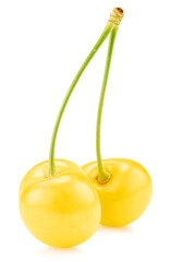 yellow sweet cherries isolated on a white background. Clipping path