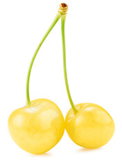 yellow sweet cherries isolated on a white background. Clipping path