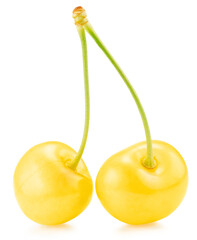 yellow sweet cherries isolated on a white background. Clipping path