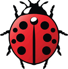 Ladybug vector image