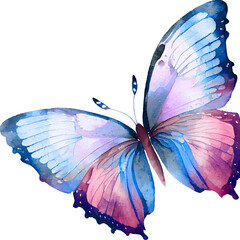 Butterfly art 